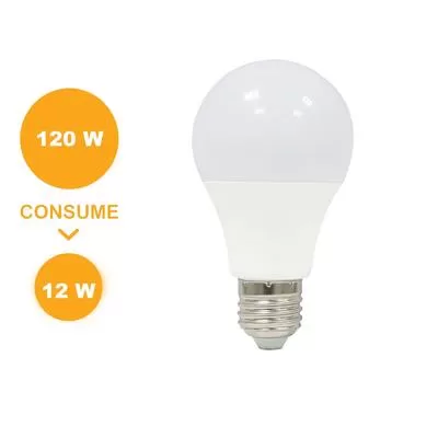 FOCO LED 12W GLOBO | ILV Iluminación