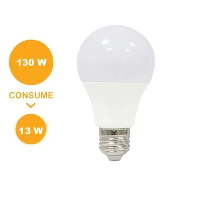 FOCO LED GLOBO13W | ILV Iluminación